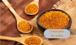 Posnetek zaslona 2025-09-26 134534